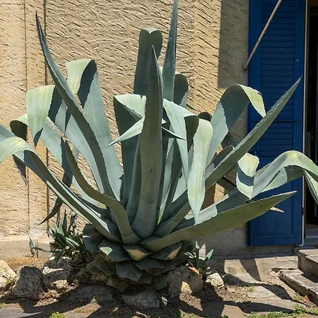 Appartement Casa San Crispino